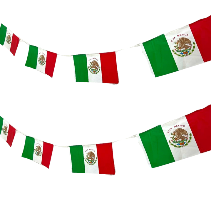 Guia de bandera plastica 10 m
