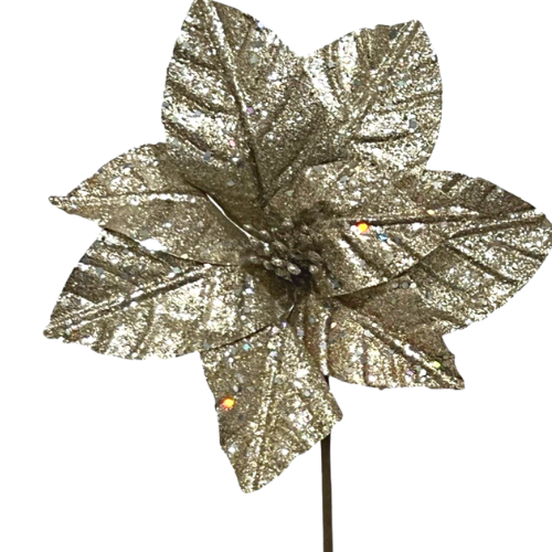 (FLQ09084CH) Noche Buena con Brillo 47X25CM Champagne