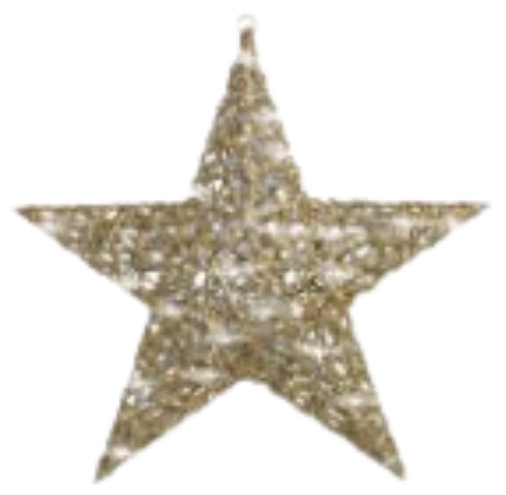 Estrella Mecate C/Luz de 30,40 y 50 Cm Champagne