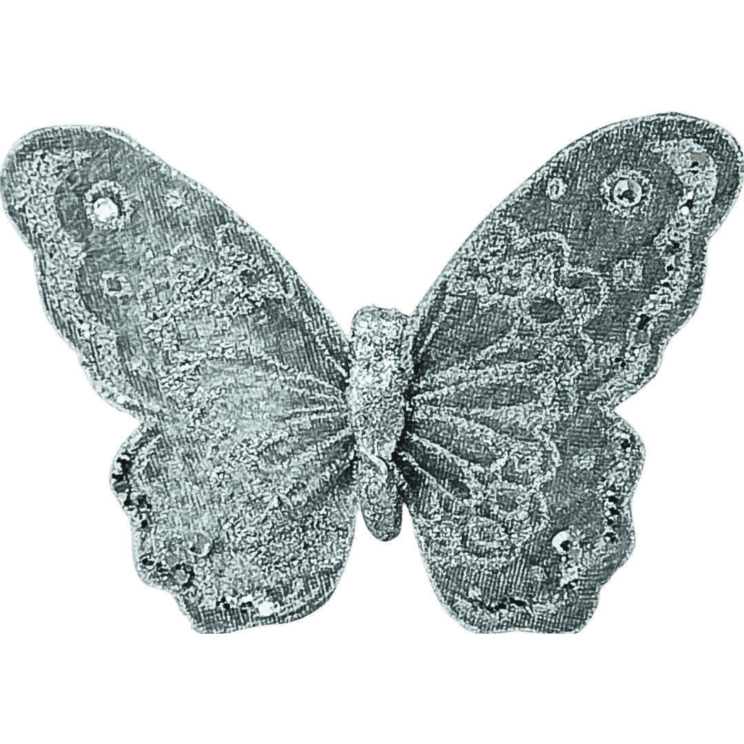 (Ccy00105S) Mariposa Brillante 15X12Cm Plata
