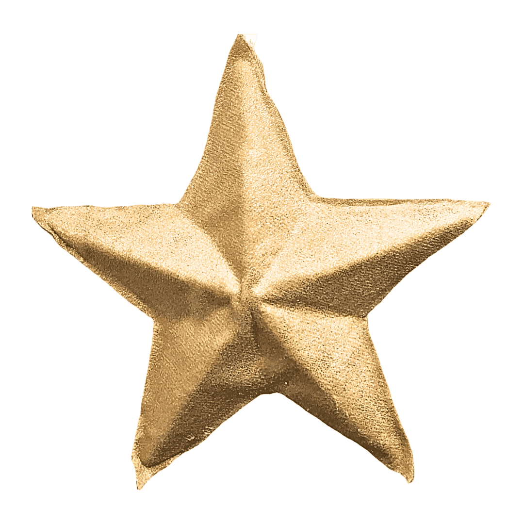 (CCY0218G) Estrella vinil 15 cm oro