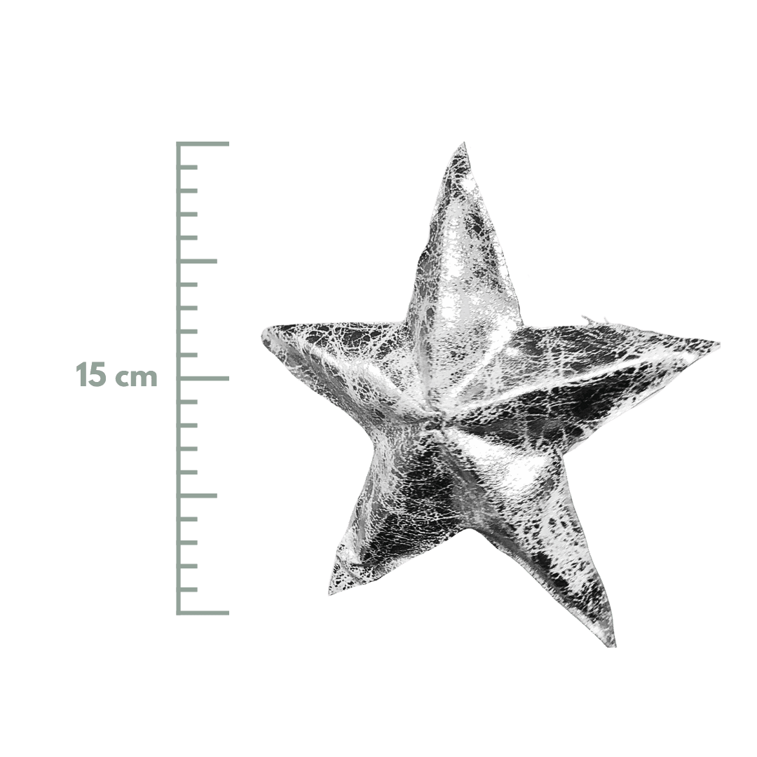 (CCY0218S) Estrella vinil 15 cm plata