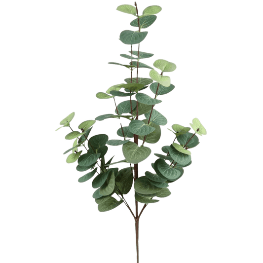 (DTI00477) Follaje eucalipto 57 cm