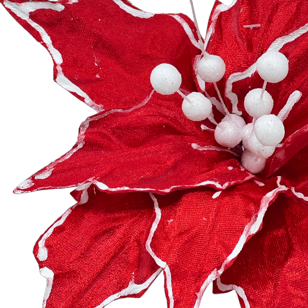 (Fla01312) Nochebuena Terciopelo roja orilla blanca