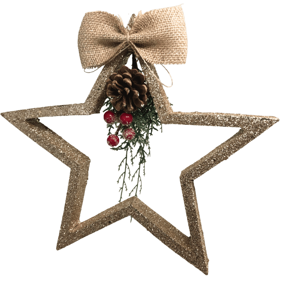 (FLA02273CH) Estrella 32 cm champ