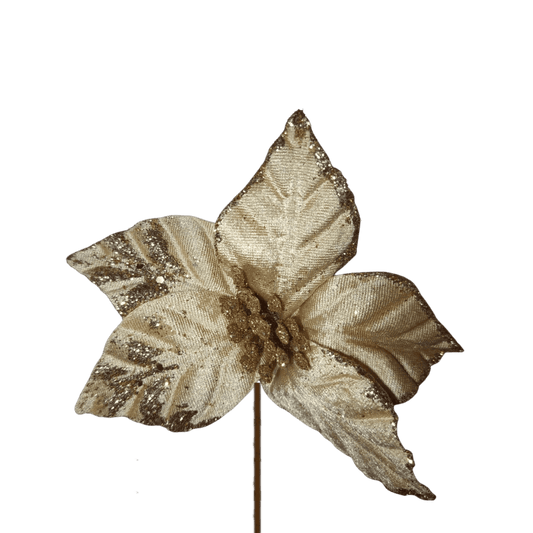 MINI NOCHEBUENA 22CM CHAMPAÑA