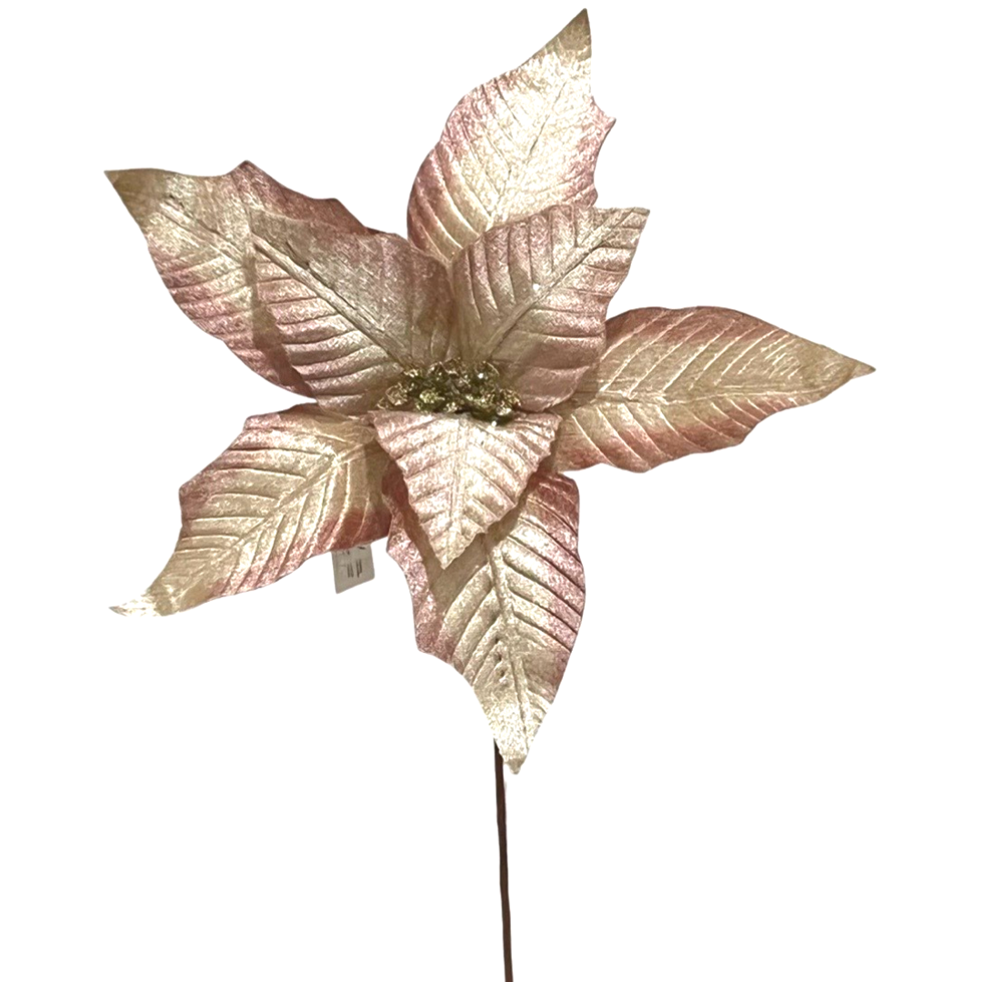 (FLQ09125CH) Noche Buena 50X23Cm Rosa/Crema