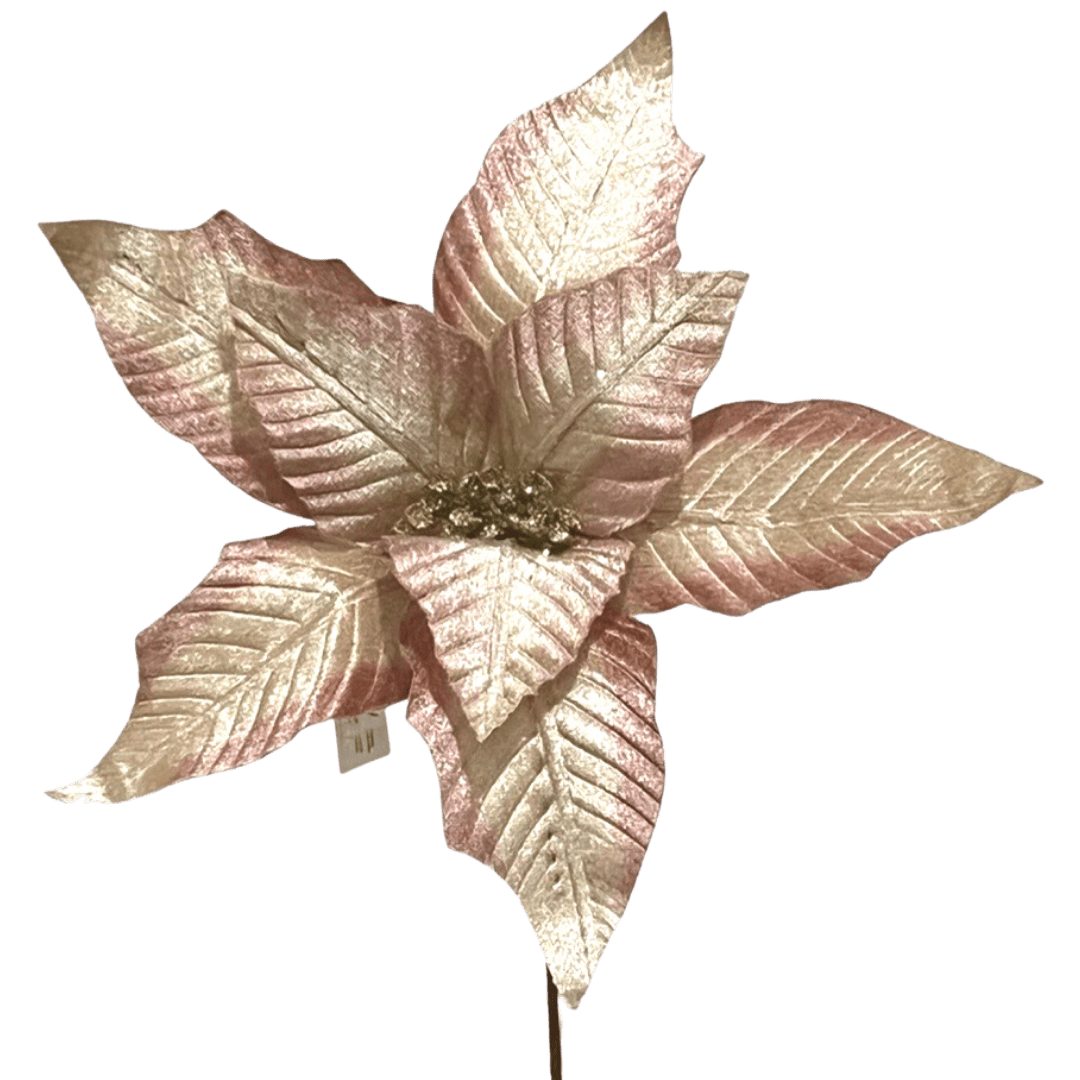 (FLQ09125CH) Nochebuena terciopelo champagne 55 cm x 33 cm