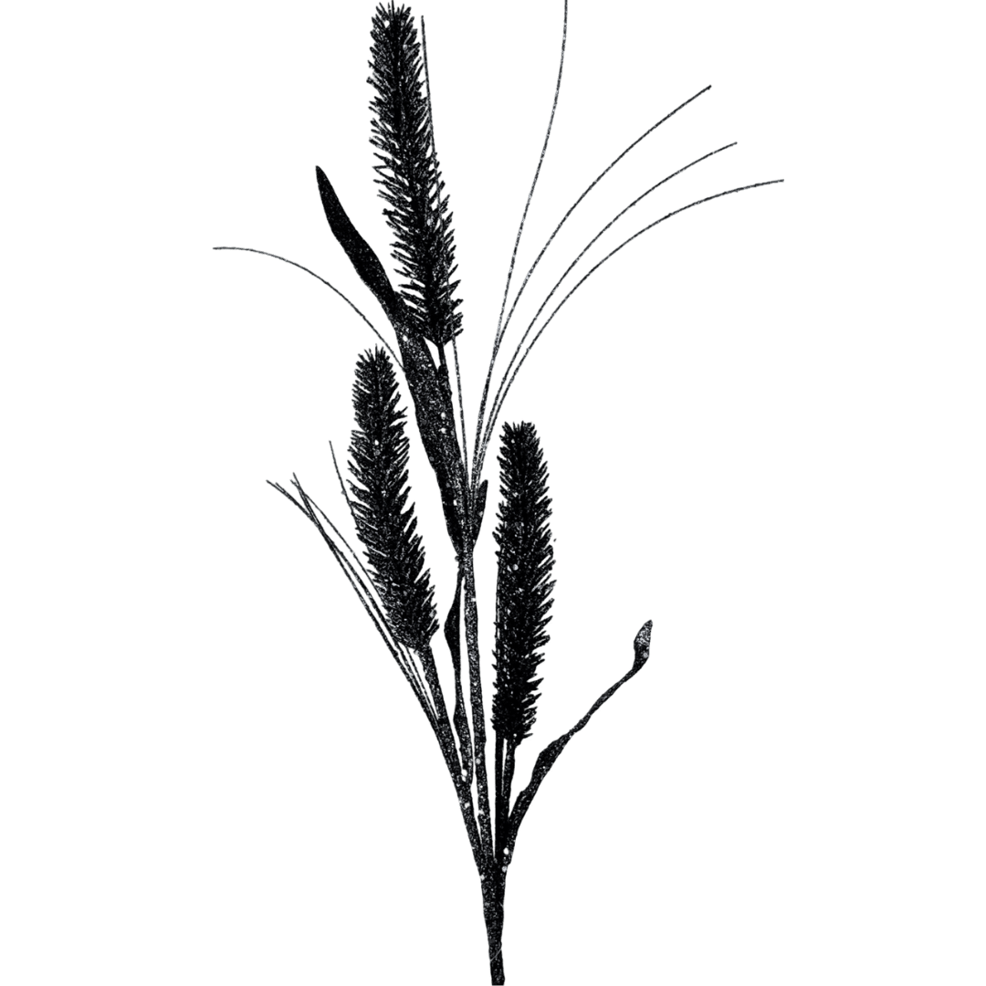 (FLR01007Bk) Follaje escarchado 75 cm negro