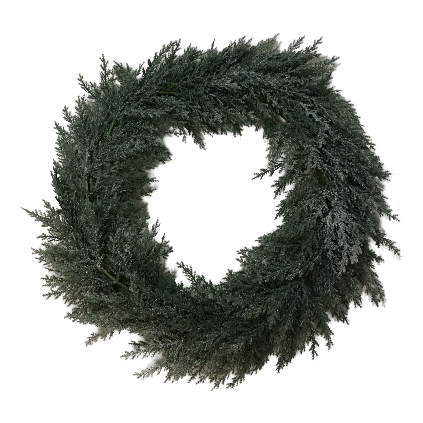 (FLA02298) Corona cypress 40 cm