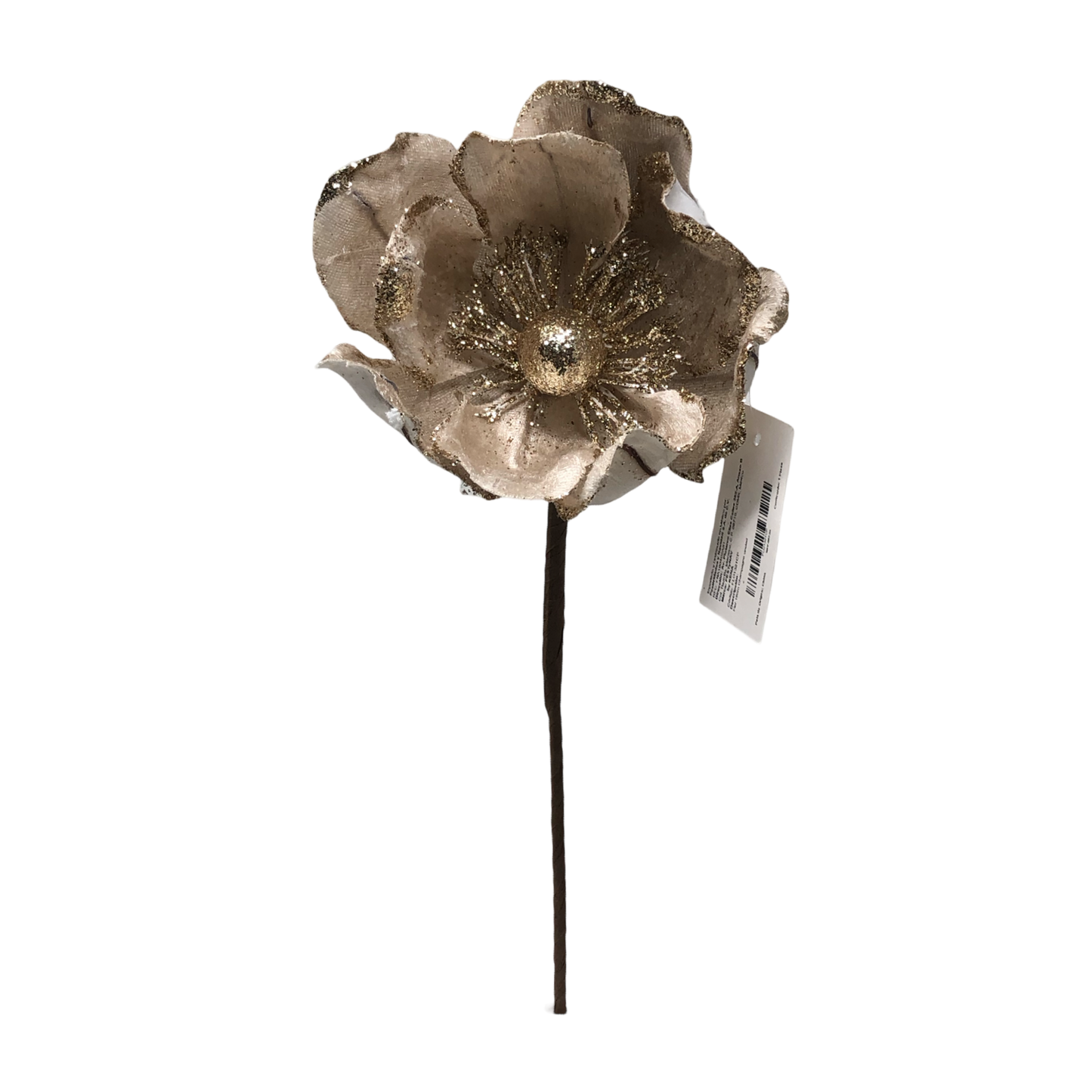 (FLO1321CP) Nochebuena 19 cm champagne