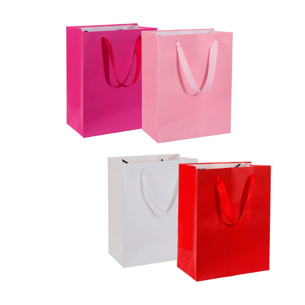 (11967) Bolsa de Regalo 23X18X10 cm Lisa