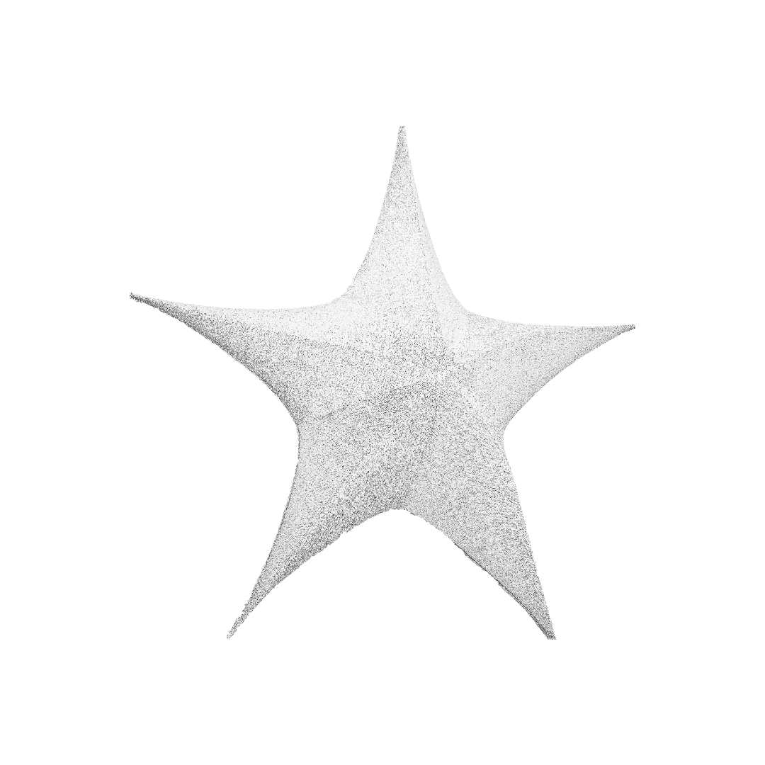 Estrella brillante blanca 40cm/65cm/80cm/110cm