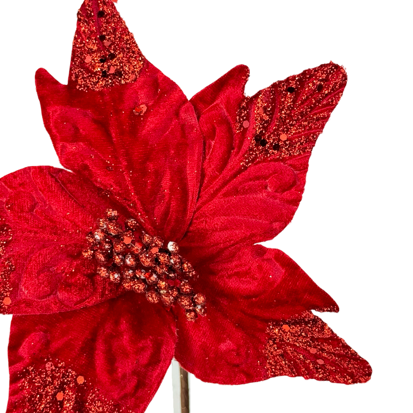 (FLR00957R) Noche buena 22 cm rojo