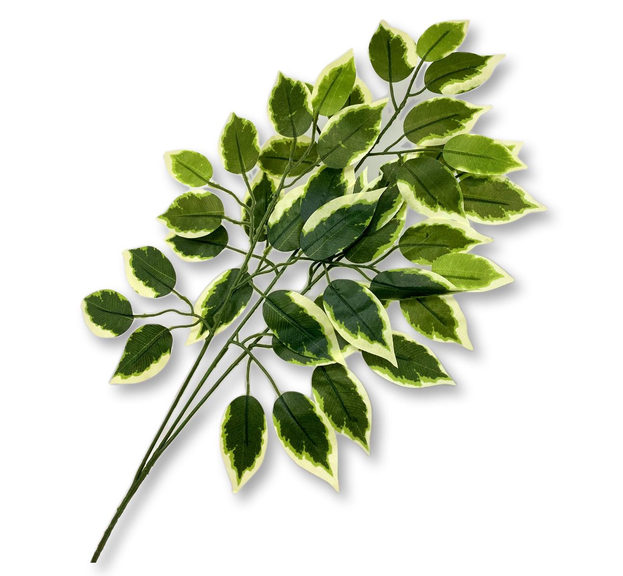 (GL1-8881) Vara de follaje ficus 55cm orilla blanca