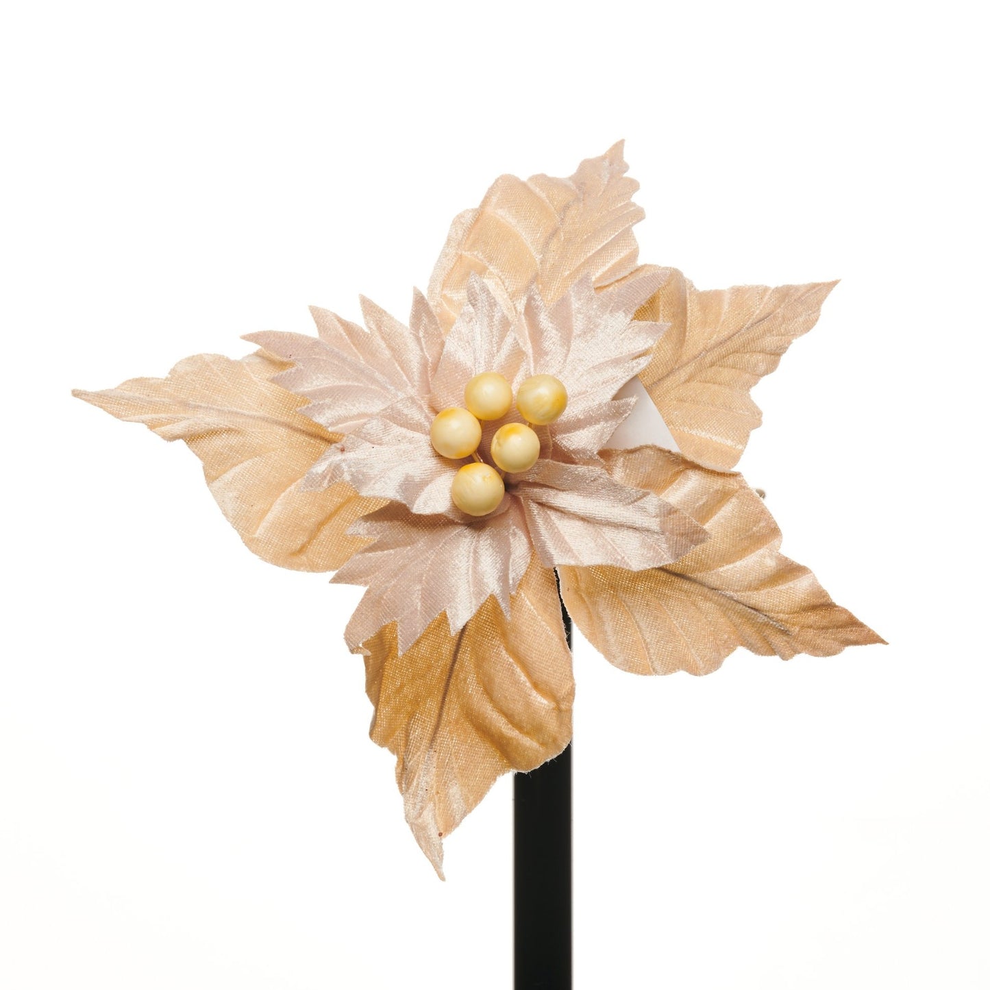 (FLQ07152CH) Nochebuena terciopelo champagne 50 cm x 22 cm