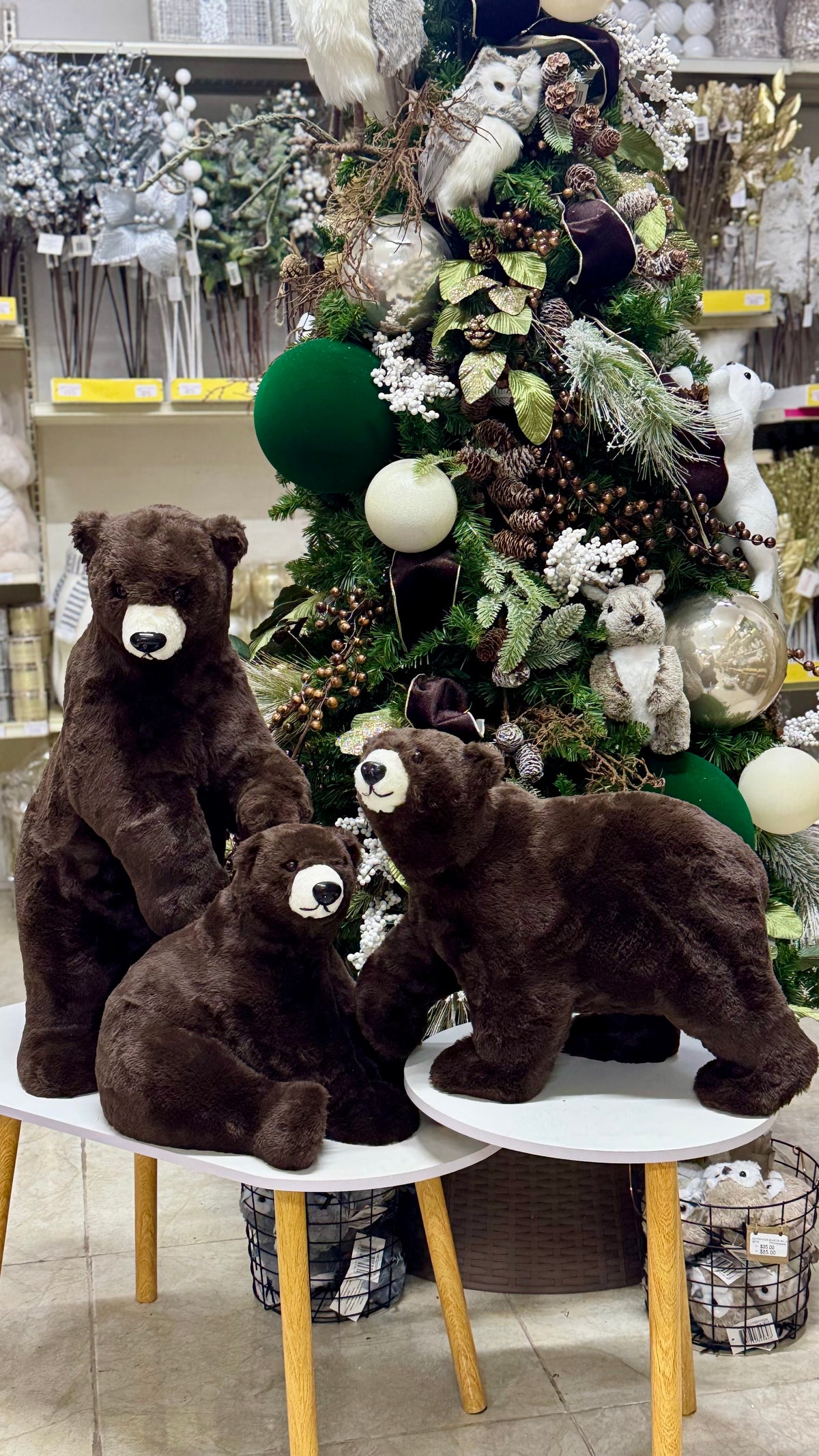 Colección Navideña invierno en Monterrey