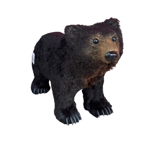 Oso Cafe Sierramadre Caminando 60X28X45CM