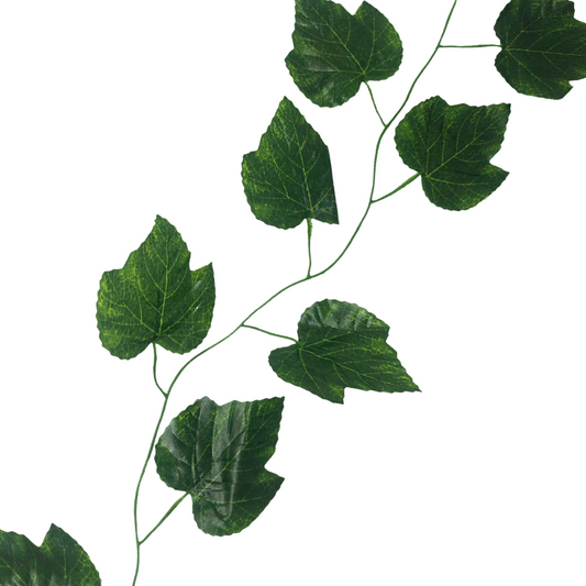 (26527) Enredadera hojas verdes 2 m