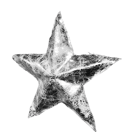 (CCY0218S) Estrella vinil 15 cm plata