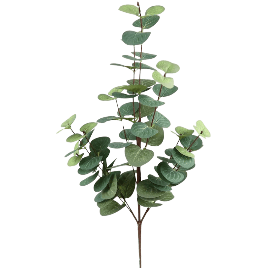 (DTI00477) Follaje eucalipto 57 cm