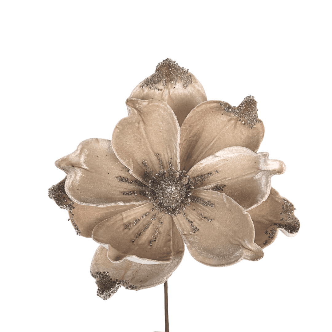 (FHY0074CH) Flor navideña magnolia champagne 22 cm