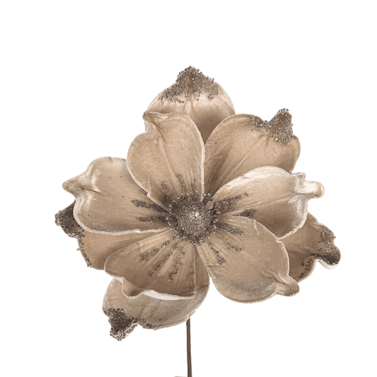 (FHY0074CH) Flor navideña magnolia champagne 22 cm