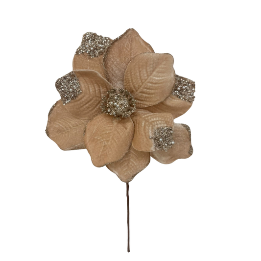 (FHY0125CH) Nochebuena 27 Cm 10 Petalos Champagne