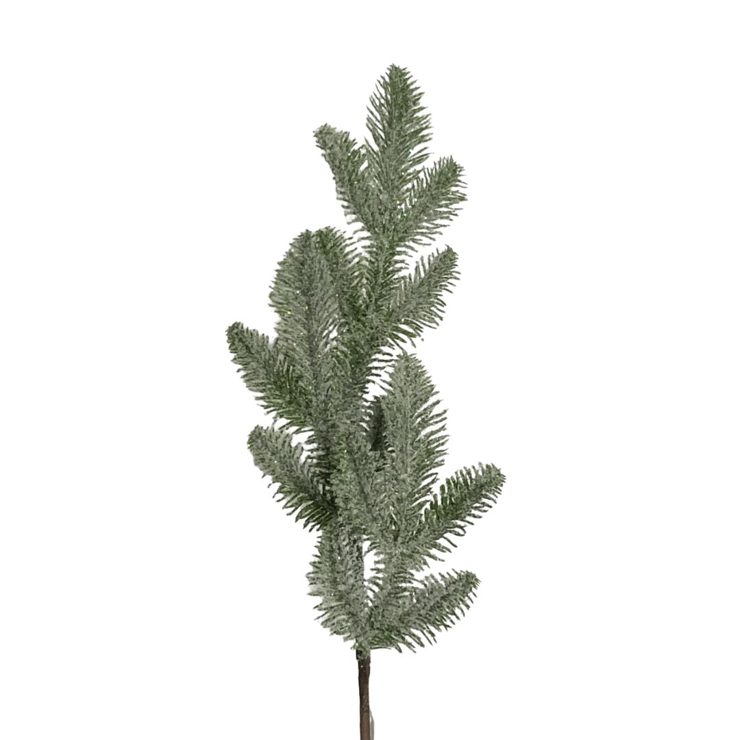 (FLA01216) Follaje rama de pino nevada
