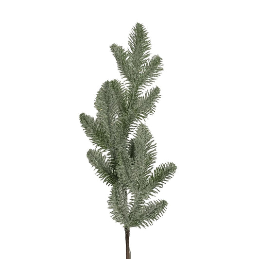 (FLA01216) Follaje rama de pino nevada