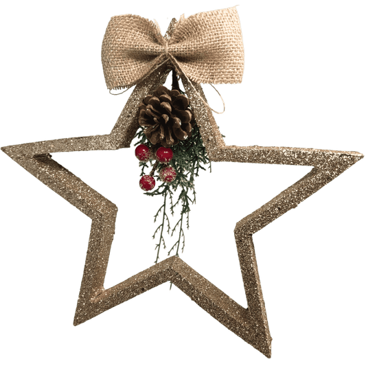 (FLA02273CH) Estrella 32 cm champ