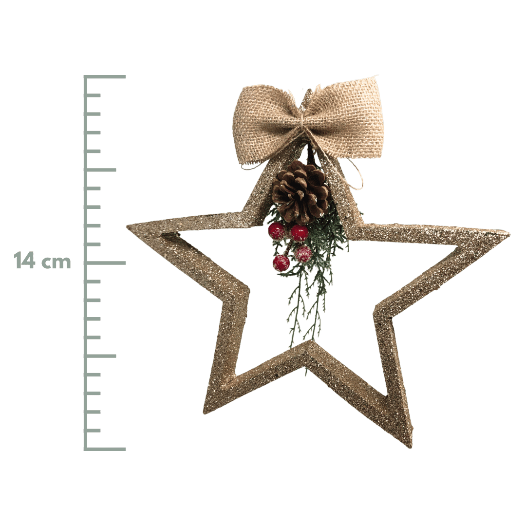 (FLA02273CH) Estrella 32 cm champ