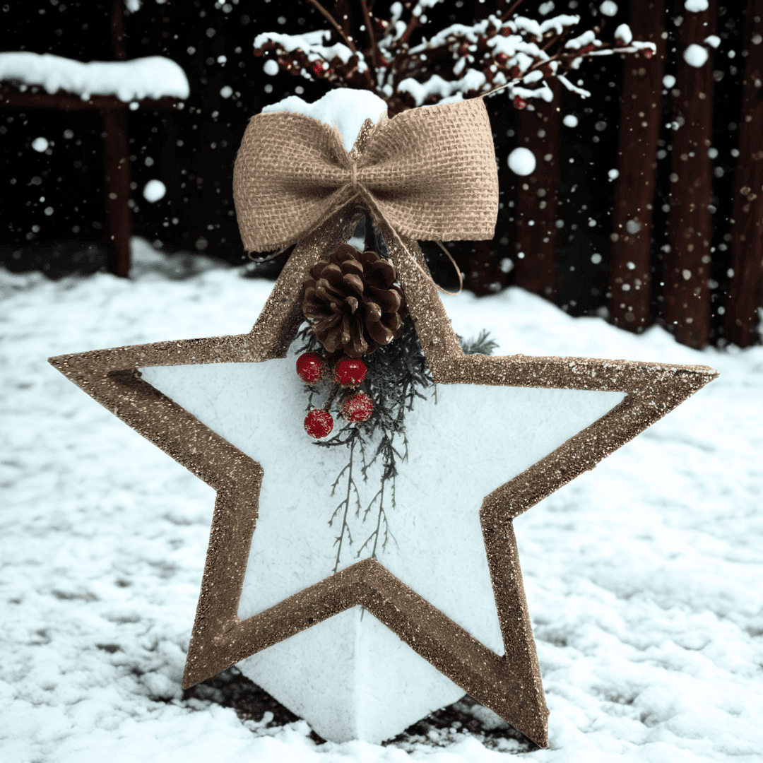 (FLA02273CH) Estrella 32 cm champ