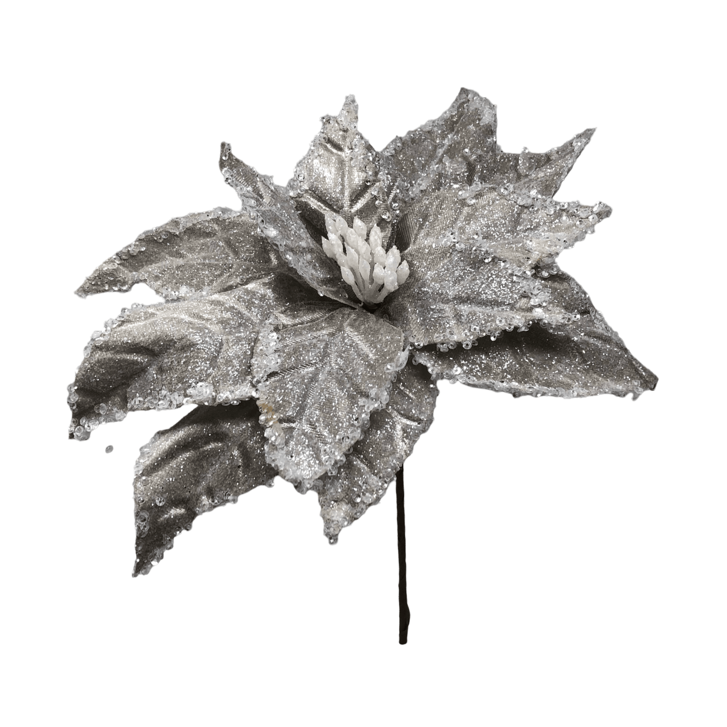 (FLA02387CH) Nochebuena 30 cm champagne