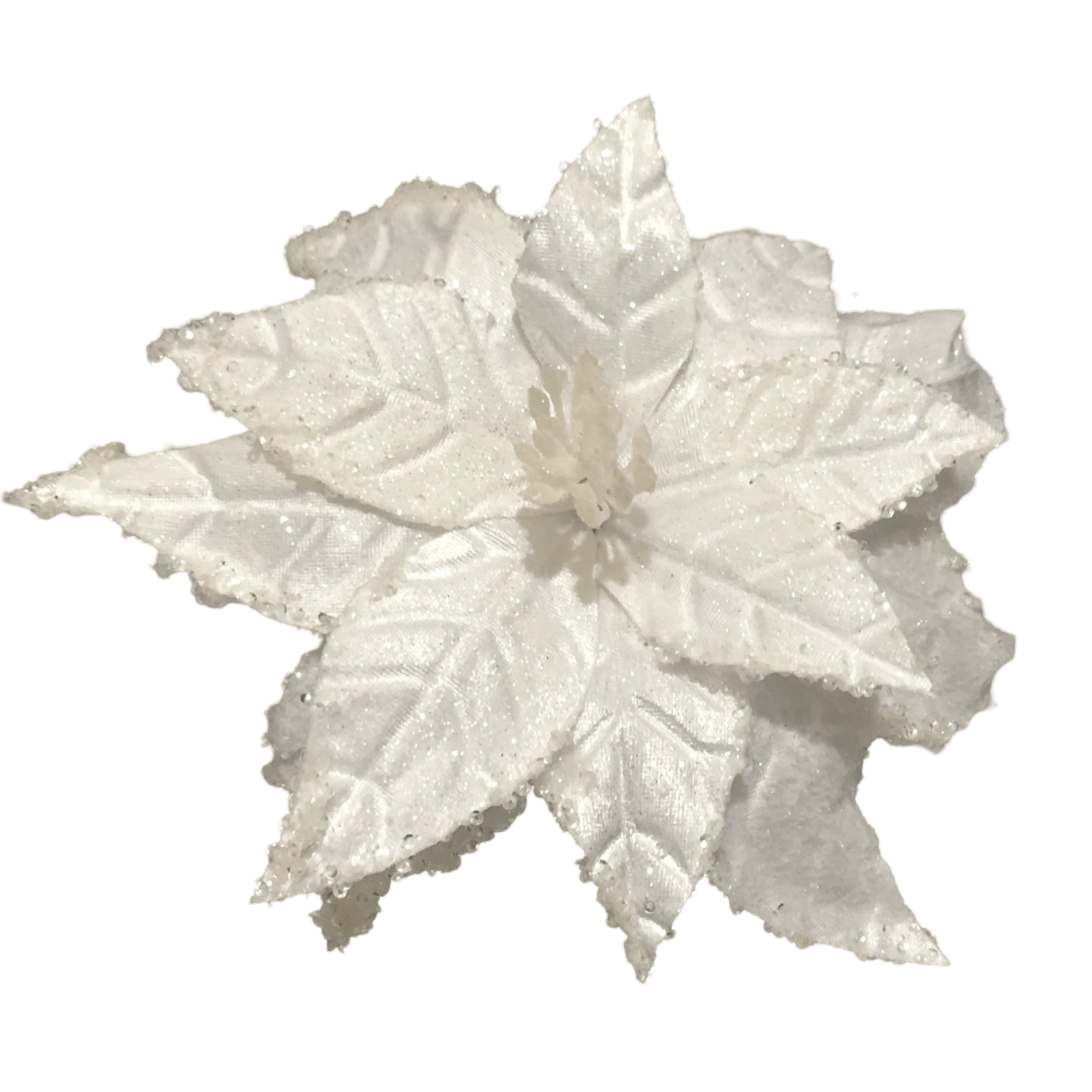 (FLA02387W) Nochebuena 30 cm blanco