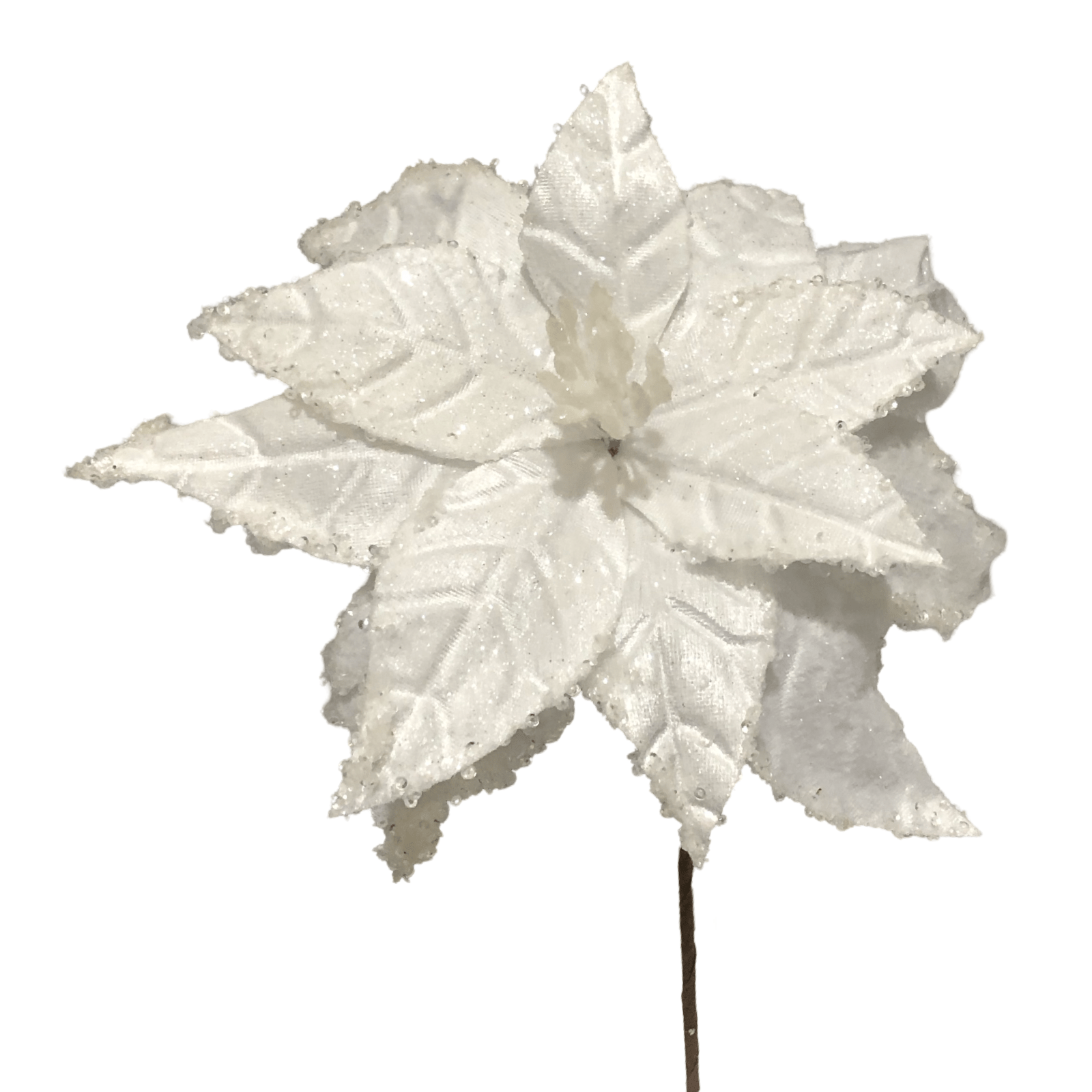 (FLA02387W) Nochebuena blanco 30 cm