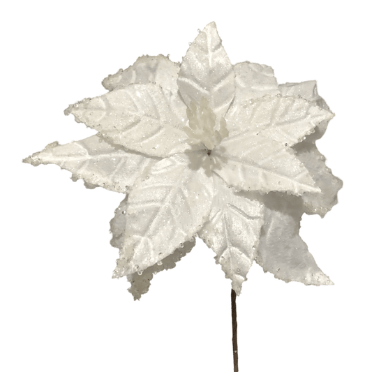 (FLA02387W) Nochebuena blanco 30 cm