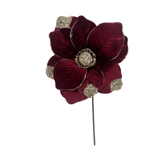 (FHY0125BUCh) Nochebuena  27 Cm 10 Petalos Vinotinto/Champagne