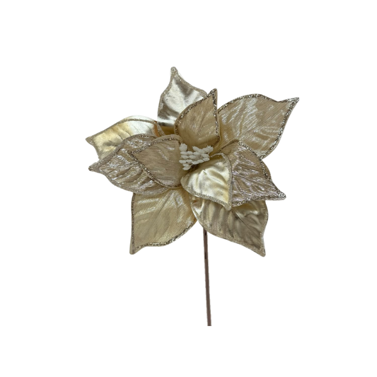 (FLI0080CHW) Nochebuena Vinil 25 Cm Champagne