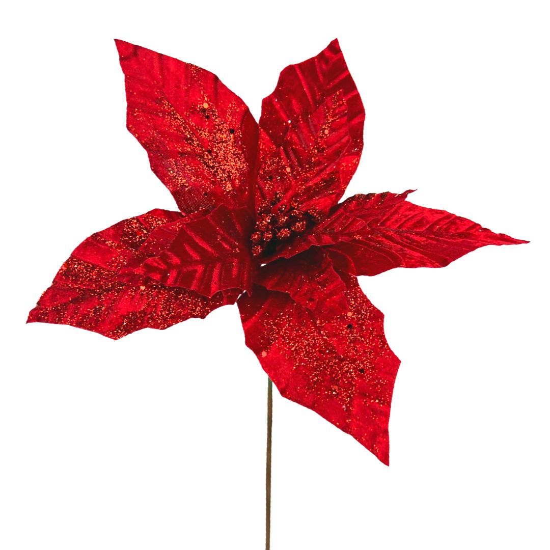 (FLQ09079R) Nochebuena terciopelo rojo 30 cm x 50 cm