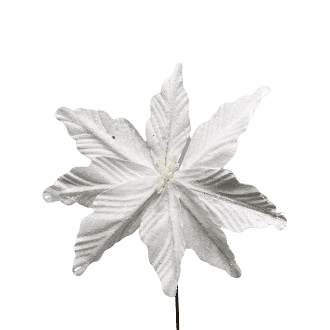 (FLQ09160W) Nochebuena escarchada blanco 45 cm x 20 cm