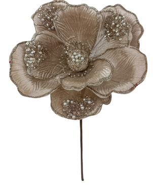(FHY0123CH) Magnolia Perlas 24 Cm Champagne