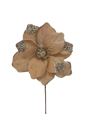 (FHY0125CH) Nochebuena 27 Cm 10 Petalos Champagne