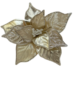 (FLI0080CHW) Nochebuena Vinil 25 Cm Champagne