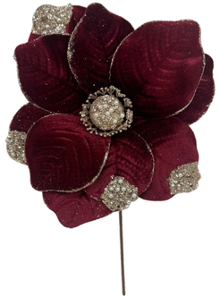 (FHY0125BUCh) Nochebuena  27 Cm 10 Petalos Vinotinto/Champagne
