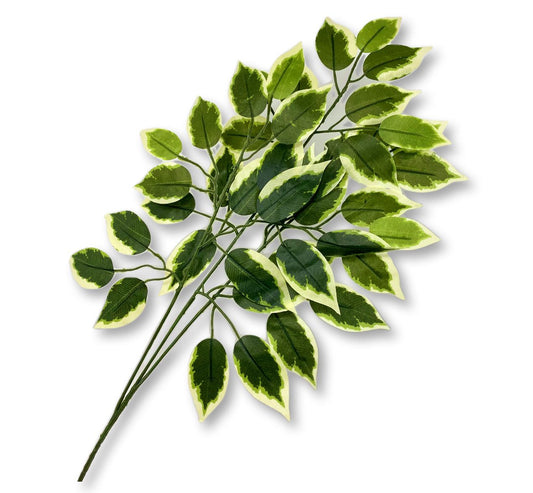 (GL1-8881) Vara de follaje ficus 55cm orilla blanca