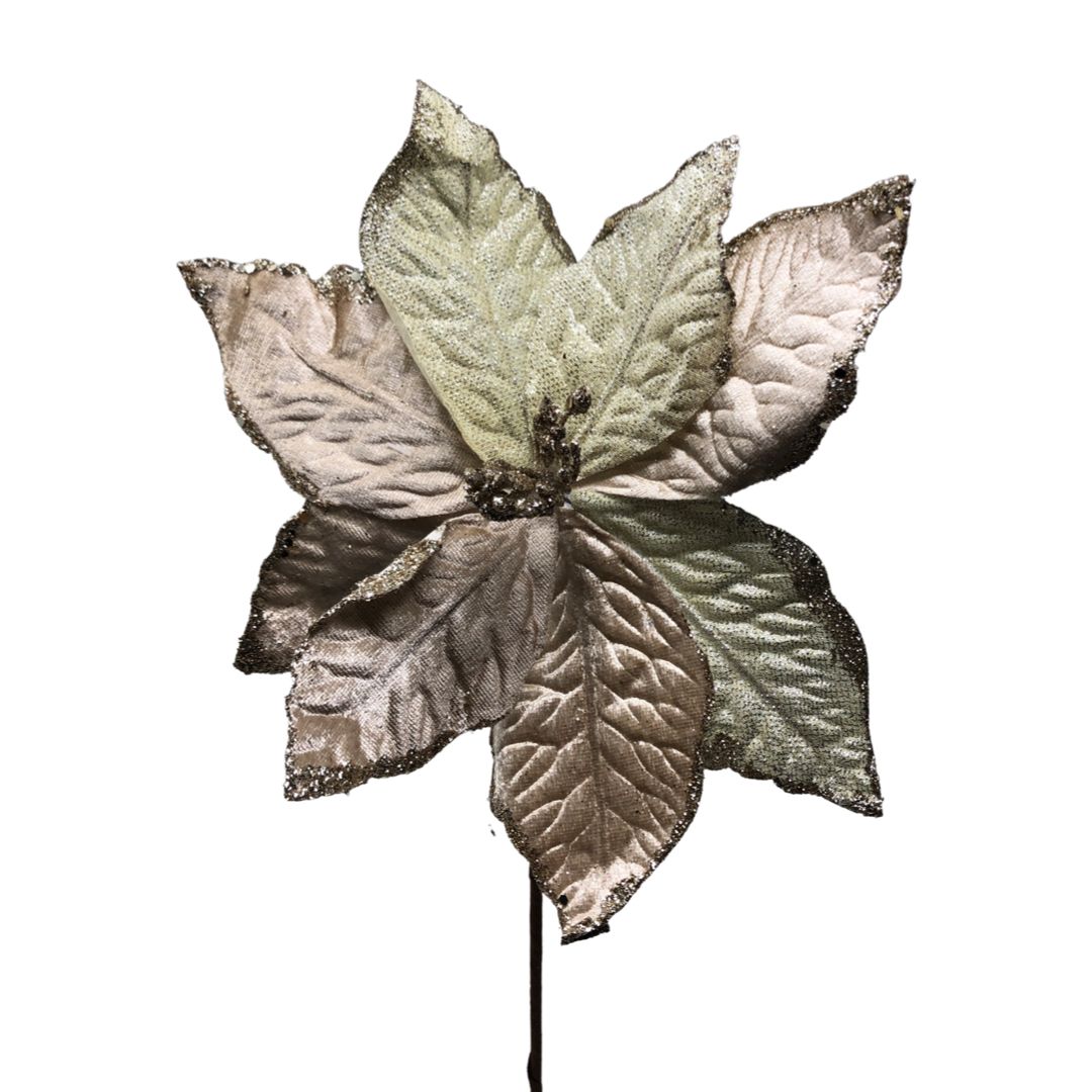 (FLQ09154CH) Nochebuena champagne 45 cm x 23 cm